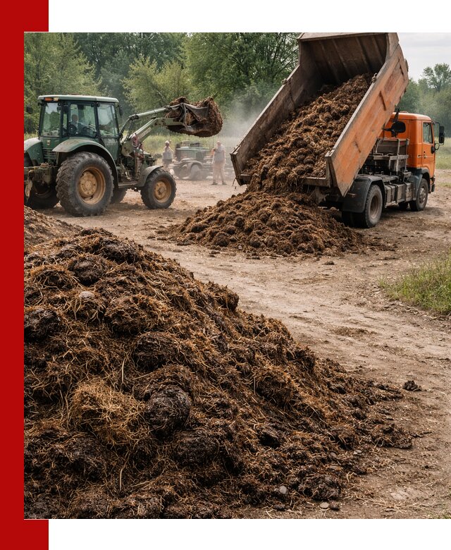 Доставка навоза самосвалами в Качканаре для сельхозпотребностей